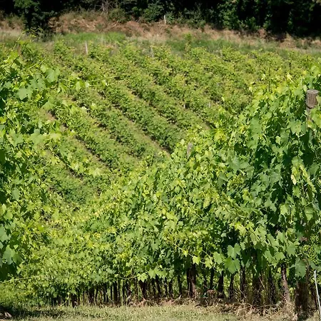 Farmház Ca' Vincenzona *