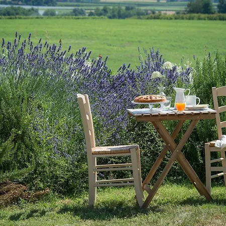 Farmház Ca' Vincenzona Faenza