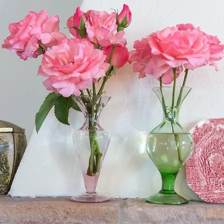 Ca' Vincenzona Farma Faenza