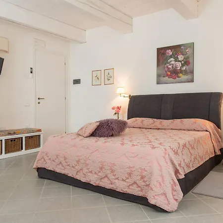 Farma Ca' Vincenzona Faenza