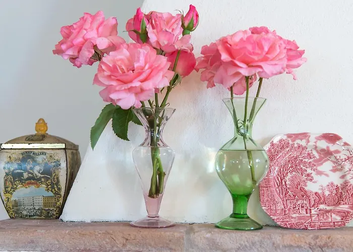 Ca' Vincenzona 팜스테이 파엔차