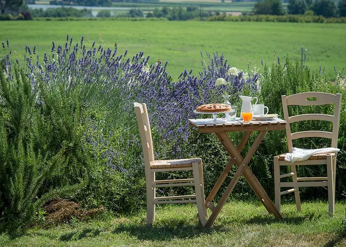 팜스테이 Ca' Vincenzona 파엔차