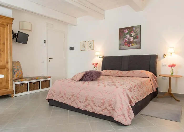 Lantgård Ca' Vincenzona Faenza