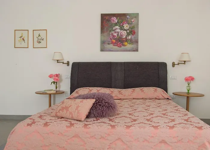 팜스테이 Ca' Vincenzona *